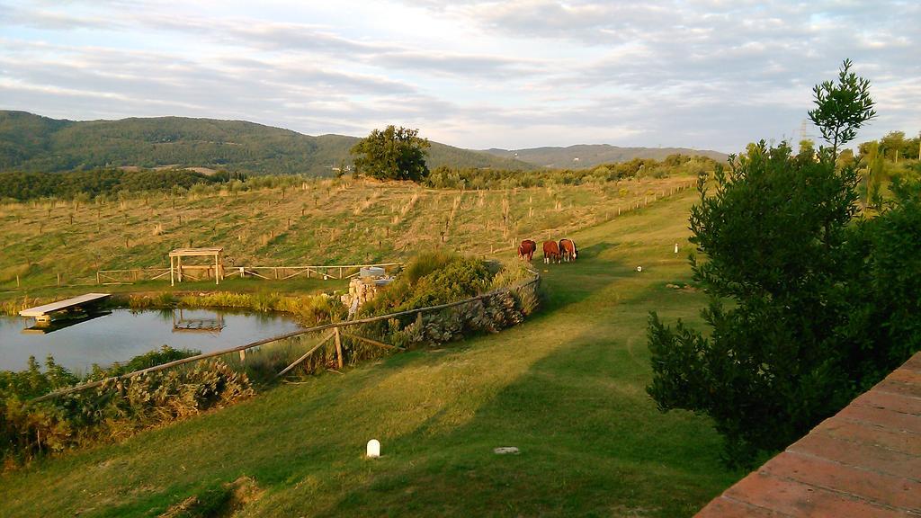 Fattoria San Paolo Agriturismo Montecastelli Pisano Exterior photo
